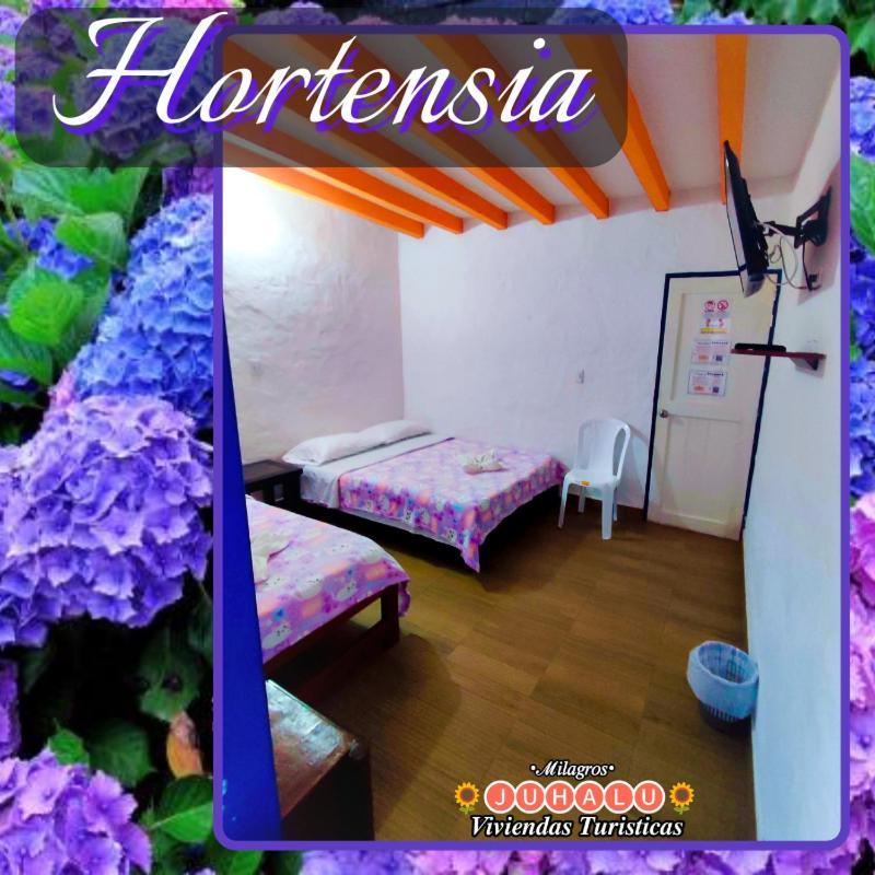 ᒍᑌᕼᗩᒪᑌ Jericoc (Antioquia) Room photo