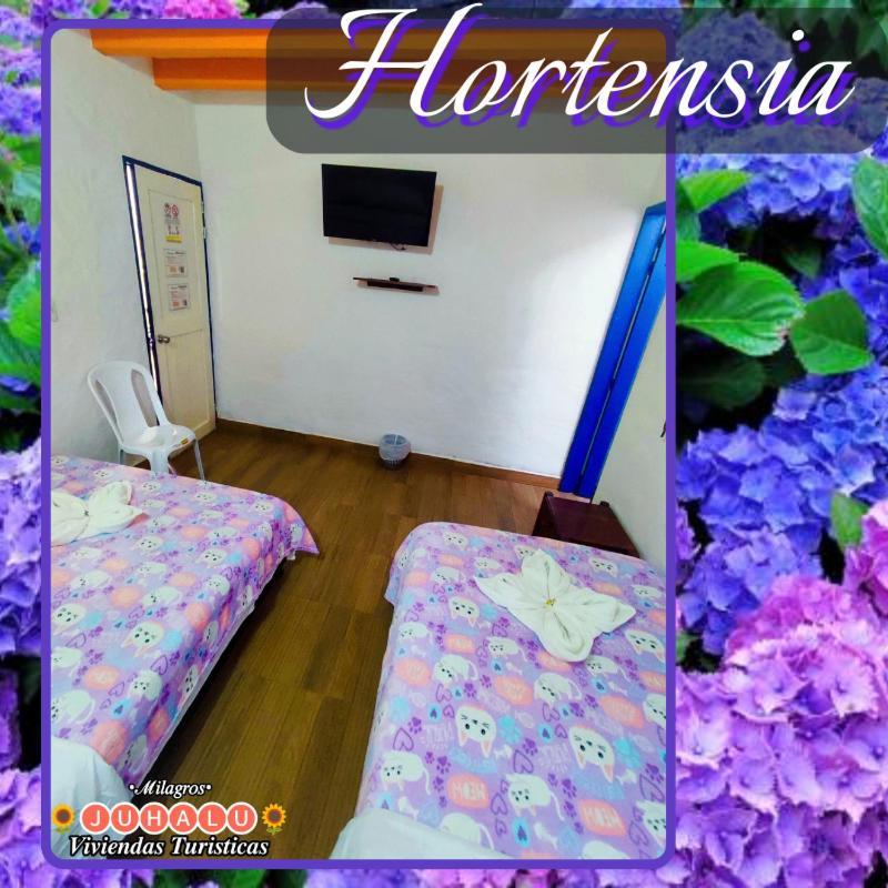 ᒍᑌᕼᗩᒪᑌ Jericoc (Antioquia) Room photo